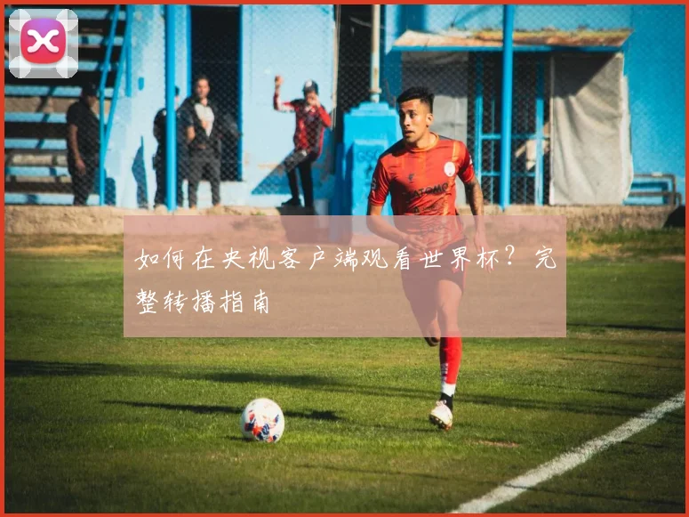 如何在央视客户端观看世界杯?完整转播指南