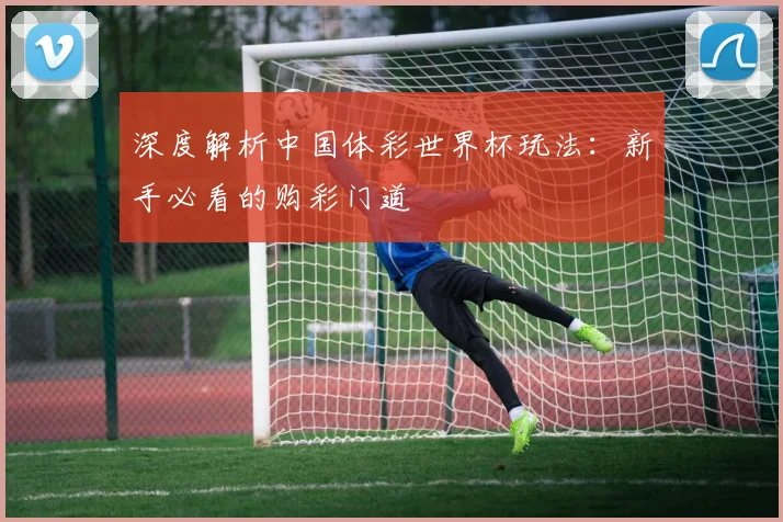 深度解析中国体彩世界杯玩法:新手必看的购彩门道